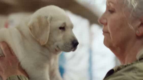 Andrex: A Little Love Goes a Long Way