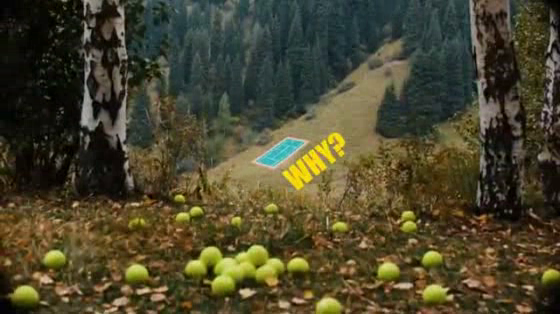Beeline Kazakhstan: Mountennis