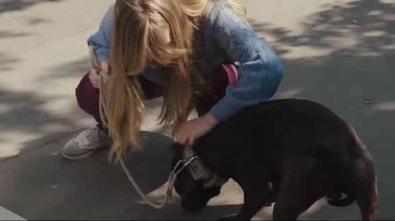 Nestlé Purina Pet Care: Street Vet