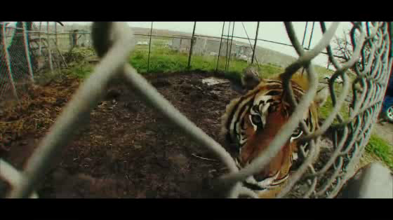The Humane Society International: End The Lockdown for Animals
