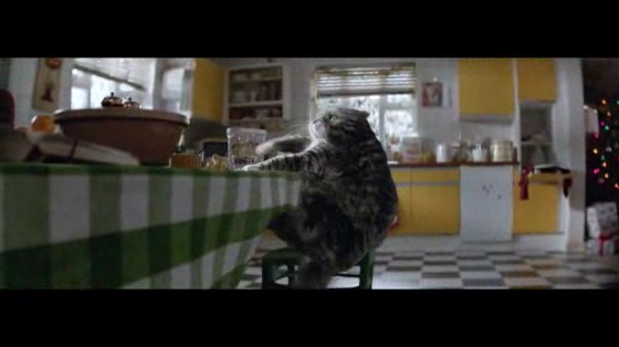 Sainsbury's: Mog's Christmas Calamity