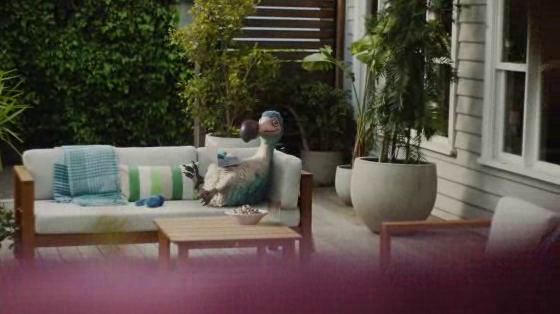 Dodo: Dodo Next Door NBN
