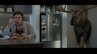 Laminex: Midnight and Moose