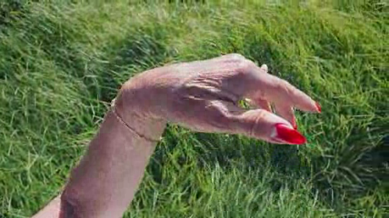 carsales: Grandma's Hands