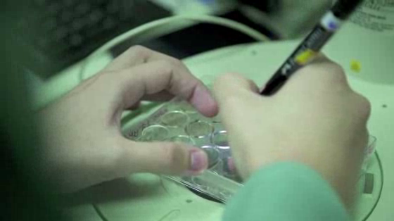 Telekom: Rainsprout Webe