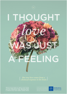 Neurological Foundation of New Zealand: True Love Comes from the Brain Fig.1