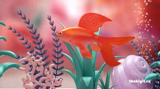 The Big If: Fish