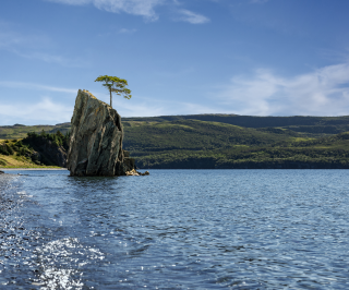 Newfoundland and Labrador Tourism: A Tangled Tale