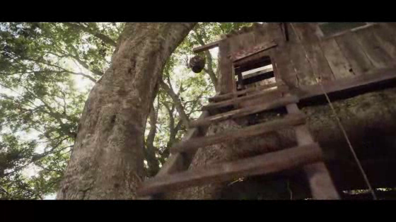 Pedigree Adoption Drive: The PEDIGREE Child Replacement Programme - Tree House