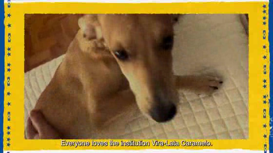 Pedigree: Caramelo
