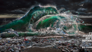 Ecozine & Hong Kong Clean Up: It's Sickening What's Happening