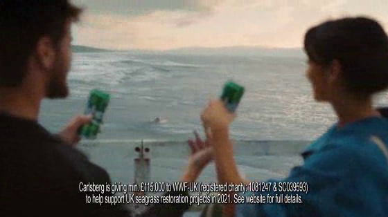 Carlsberg / WWF: The Seal