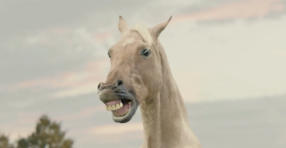 ATG - Swedish horseracing: Singing Horses - Sukiyaki