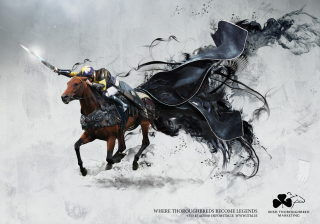 Irish Thoroughbred Marketing: Legends Sea The Stars