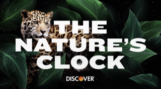 Discover: The Nature's Clock