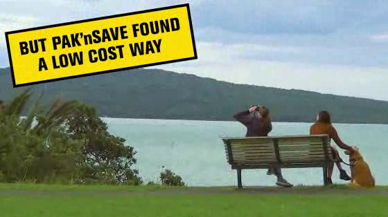 PAK'nSAVE: Plane Savings