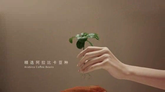 Sense Café: Latitude