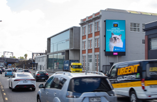 Southern Cross Pet Insurance: Southern Cross Pet Insurance