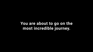 Seeing Eye Dogs Australia: The Most Incredible Journey