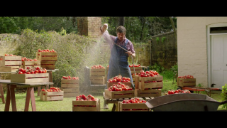 ALDI Australia: Tomatoes