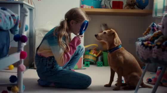 Bord Gáis Energy: See It, Solve It