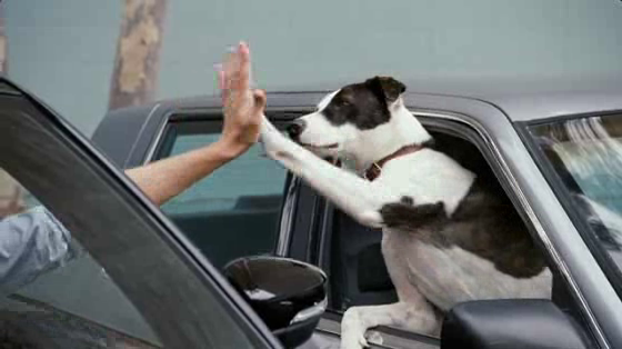 Volkswagen Beetle: High Five